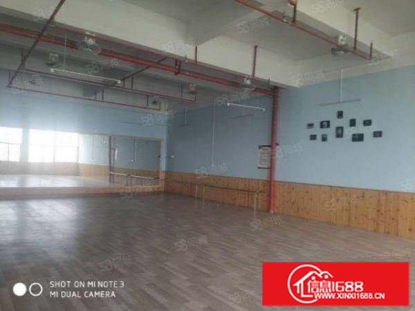 高埗新出绝世靓盘，标准独院厂房可商可工