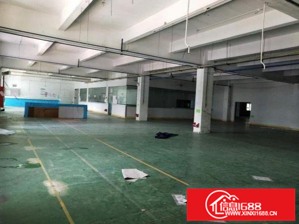 龙岗嶂背原房东16元一楼1300平厂房出租无公摊