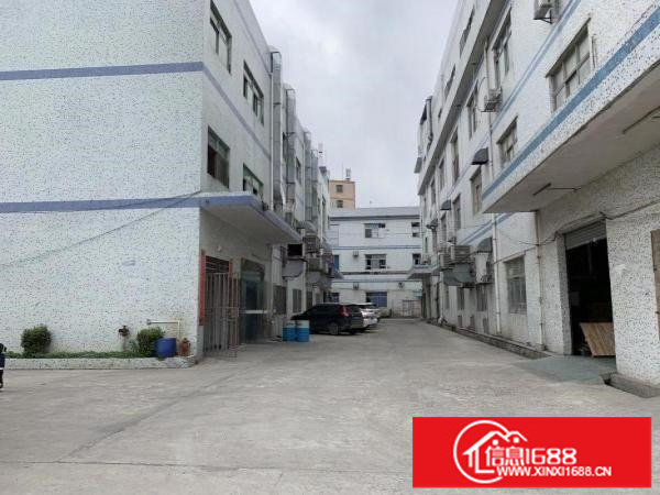 大康1300平方三楼厂房带装修出租现成眼镜厂