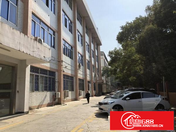 横岗1128平米带装修厂房出租