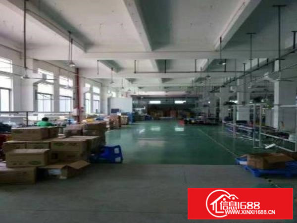 凤岗竹塘独门独院3200平方厂房招租