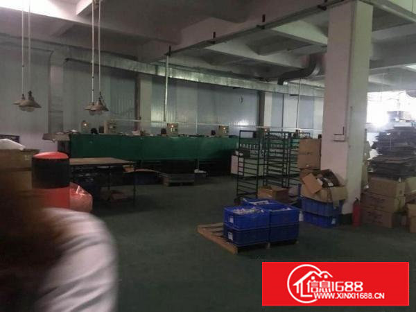 临深区，塘厦大坪500平方精装修独院一楼厂房/科苑城