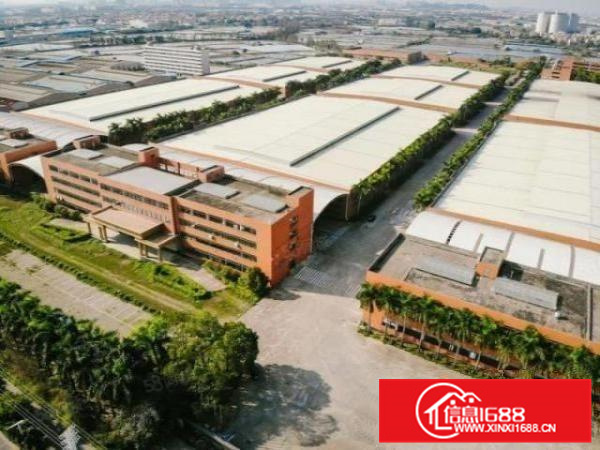 不拆迁伦教园区厂房出租国有证电大空地大办公宿舍配套