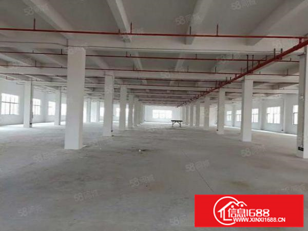 工业园全新厂房，可整租，可分租