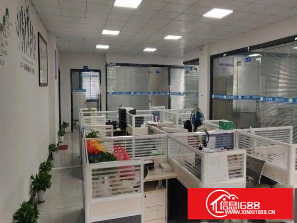 原房东独院厂房低价出租