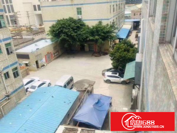 平湖华南城新木700方到3000方独院