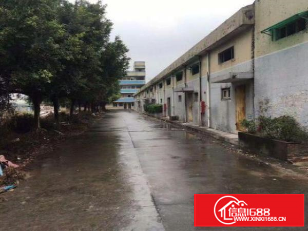 万江靓盘4500平方钢构单一层厂房招租