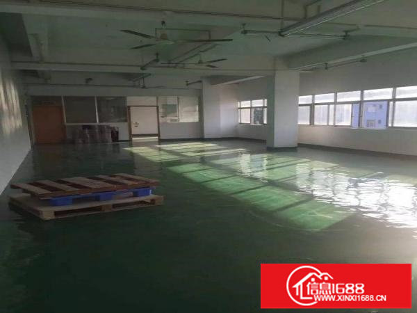 坂田五和路口正规厂房仓库1200平出租可分租