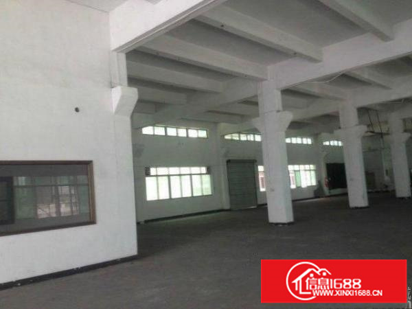 大浪行政中心鹏腾达新出一楼360平方带简单装修招租