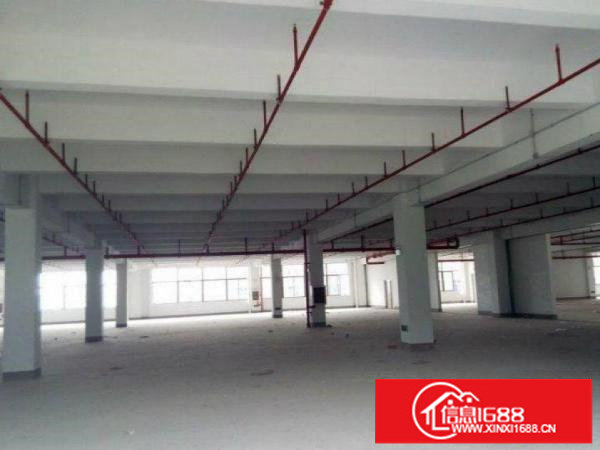 坪山原房东一楼3000平厂房出租特价可分租