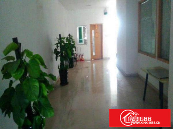 大岭山汽车广场旁新出楼上1350平现成水电办公装修