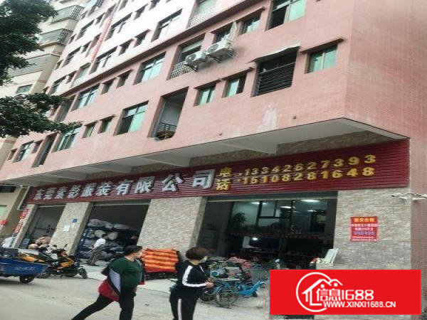 价格便宜，面积大，周围交通生活便利