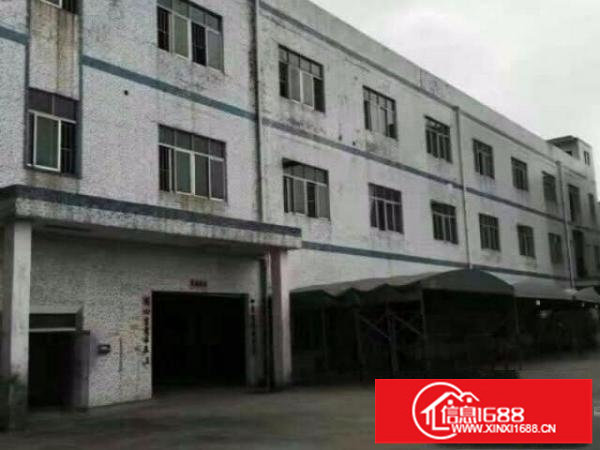 龙岗坪地北通道或龙岗大道钢构厂房1500平出租