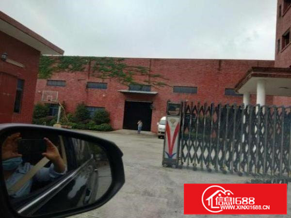 寮步花园式单一层独院出租