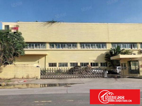 虎门新出花园式9500平高大上标准厂房