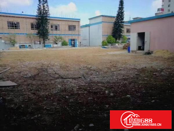 空地可停飞机，黄江田心村成熟工业区一楼500方，可办环评超靓