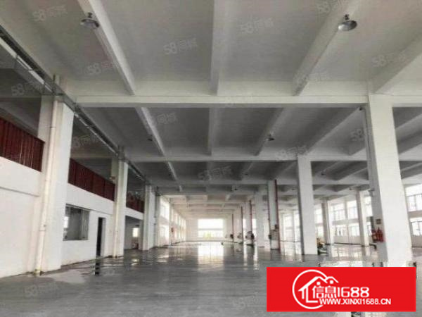 新建独栋带五吨电梯，乐从工业区15600方标准厂房环评秒过A