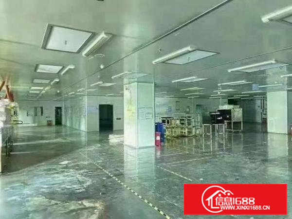 长安新出形象独院18800平