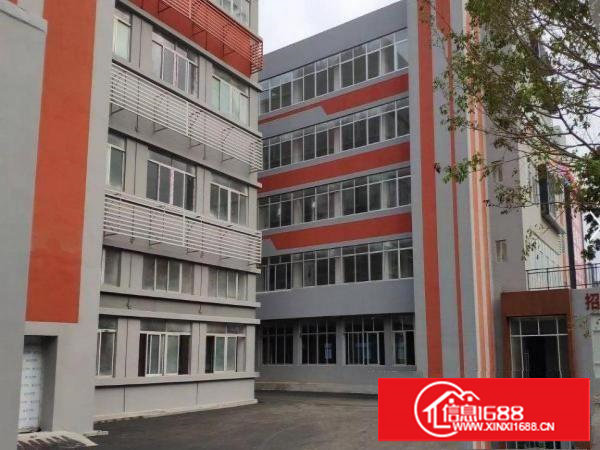 田心工业区精品厂房出租1000平，可环评