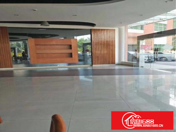 惠阳大亚湾高大上钢构厂房，带红本