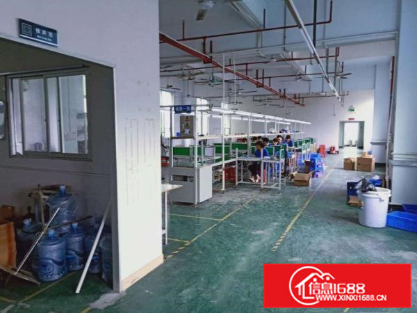 桥头，独独栋标准3000方原房东厂房，不限行业，价格优惠