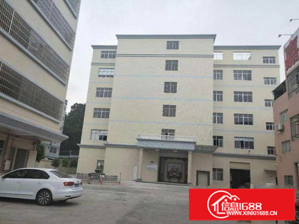 长巷新出标准一楼600平方厂房现成装修5米高