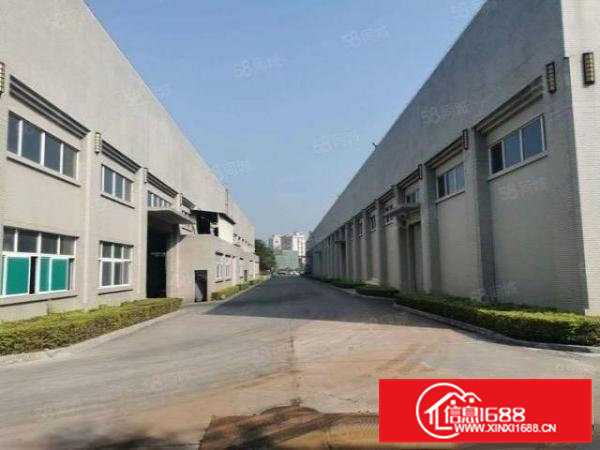 大岭山新出单一层钢构厂房出租1200,可分租,不限行业