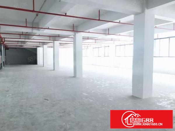 石排燕窝一楼1800平方精修办公室形象好，靠近公路交通便利