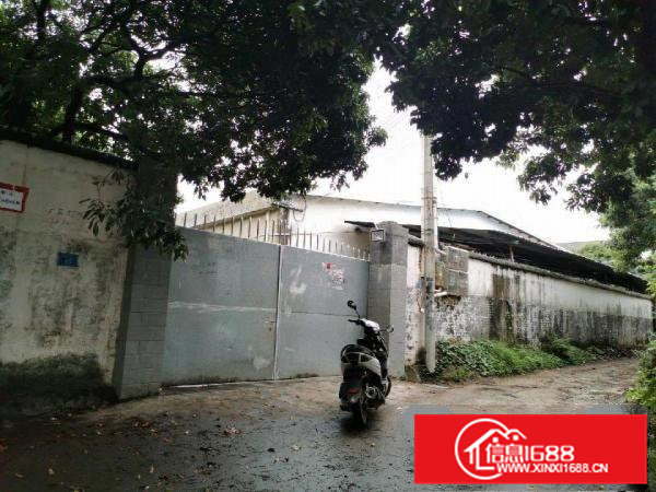 大朗原房东经典小独院