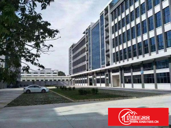 全新标准厂房出租三楼