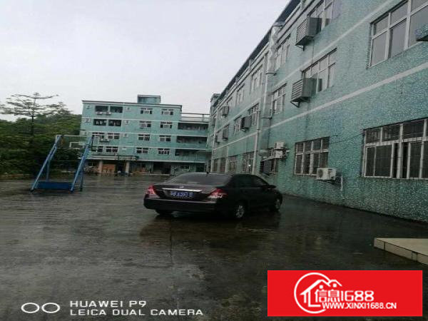 13元抢租楼上1200平可分租