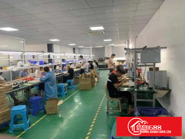 塘厦石鼓原房东出租楼上标准厂房720平带消防喷淋现成地坪漆