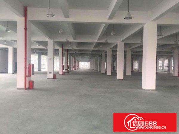 横沥水边标准厂房楼上1000平低价招租