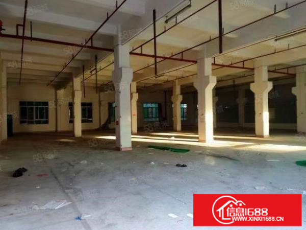 横沥镇三江附近独院分租一楼滴水6米带牛角位的2000平可分租