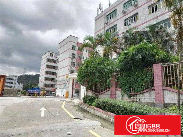 三地铁布吉百鸽笼万河丰工业区550平米厂房可部分分租