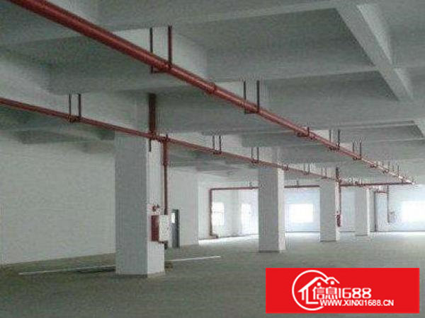 龙岗新出独门独院厂房1000平方起分租带喷淋消防