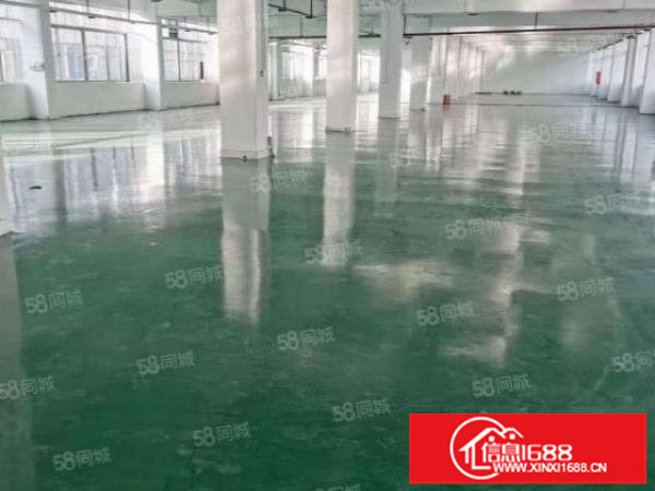 南山新开楼盘红本花园式厂房~中央空调~可整租~可分租