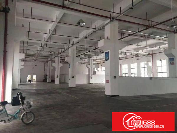 桥头镇分租原房东独门独院标准厂房一楼1600平方，无公摊