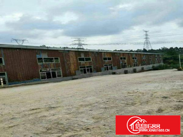 惠阳新墟2000平原房东钢构高8米空地超大可分租