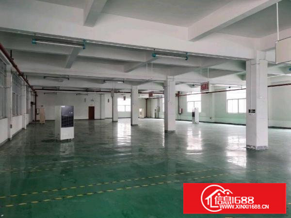 樟木头镇新出1楼标准厂房1000平方，带现成办公室装修