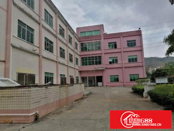 桥头大洲新出原房东标准独院厂房5500平方带现成装修