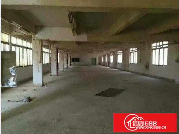 常平桥沥原房东二楼1560平米厂房出租