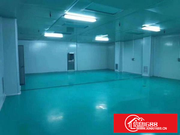 虎门上一秒新出楼上精装修1000平米