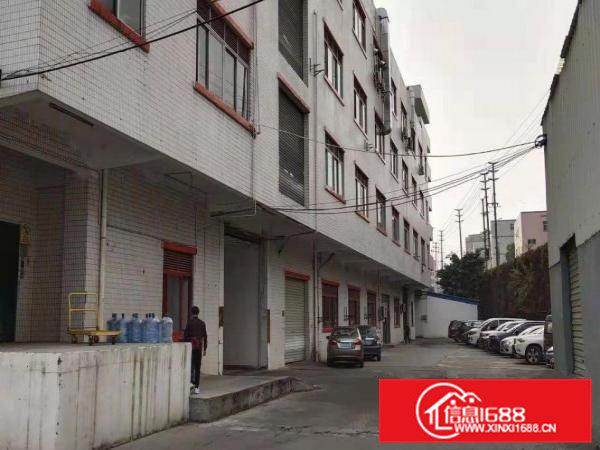 横沥田头独门独院标准一楼500平招租现成水电装修