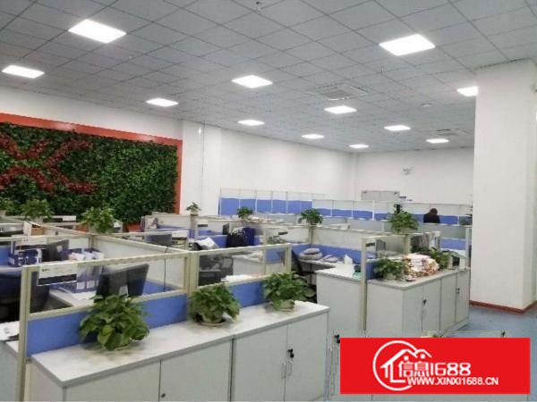 全新豪华办公室出租（带装修，可分租）