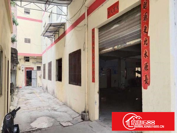 虎门龙眼一楼800平招租70平方主线到车间可办环评