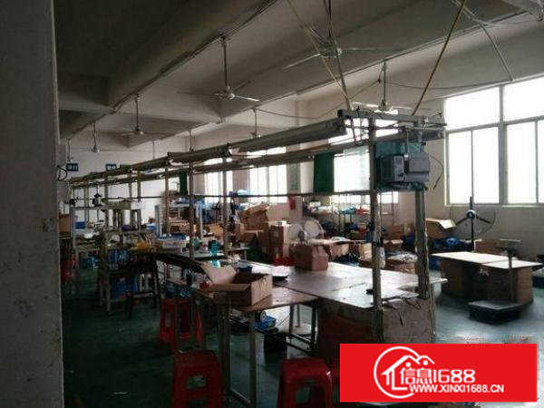 出租坪山新区坑梓楼上750平方带豪华装修厂房