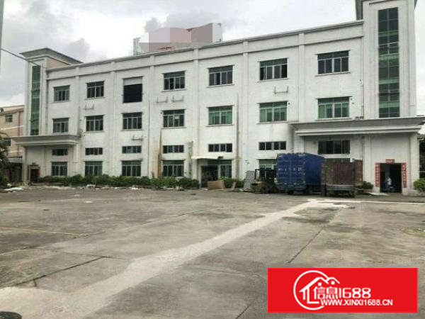 塘厦平山新出经典小独院电梯到顶带阁楼办公楼宿舍食堂