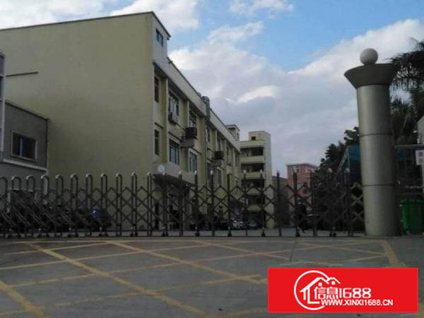 全新地板漆楼上900平方出租