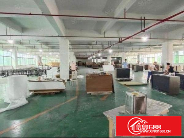 清溪原房东标准红本厂房2500平零公摊出租超大空地带地平漆